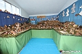 VBS_6923 - Presepe Meccanico di Nonna Rosi 2025